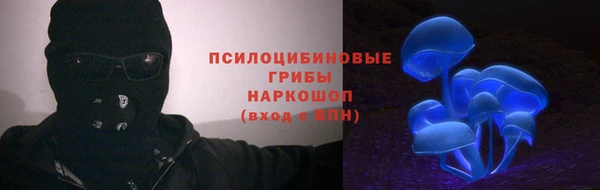 ПСИЛОЦИБИНОВЫЕ ГРИБЫ Волоколамск