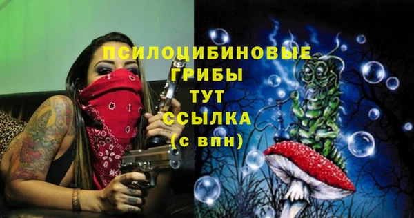 ПСИЛОЦИБИНОВЫЕ ГРИБЫ Волоколамск