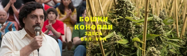 ПСИЛОЦИБИНОВЫЕ ГРИБЫ Волоколамск