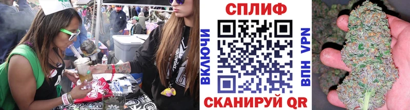 Купить где  Балахна  Канабис VHQ 